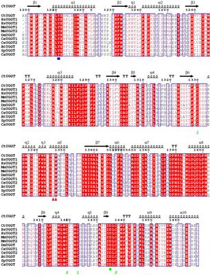 Crystal polymorphism in fragment-based lead discovery of ligands of the catalytic domain of UGGT, the glycoprotein folding quality control checkpoint